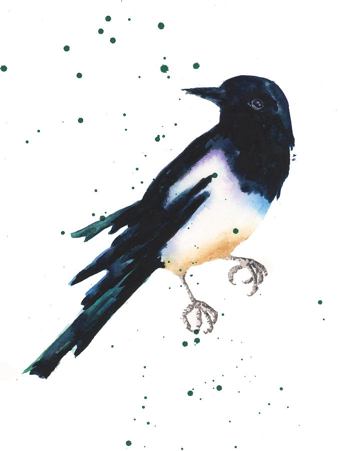 Black And White Painting - Magpie Painting #2 by Alison Fennell