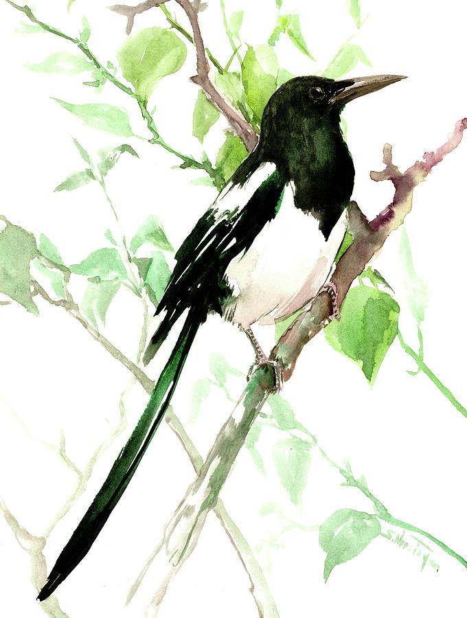 Nature Painting - Magpie #2 by Suren Nersisyan