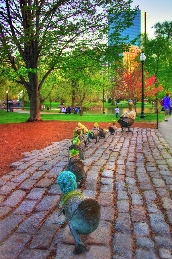 Make Way For Ducklings - Boston #3 Photograph by Joann Vitali
