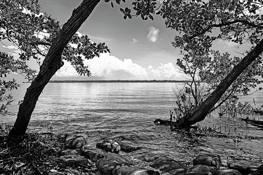 Manatee River Bradenton #2 Photograph by Chris Smith