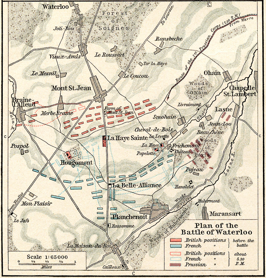 Map of the Battle of Waterloo Drawing by English School