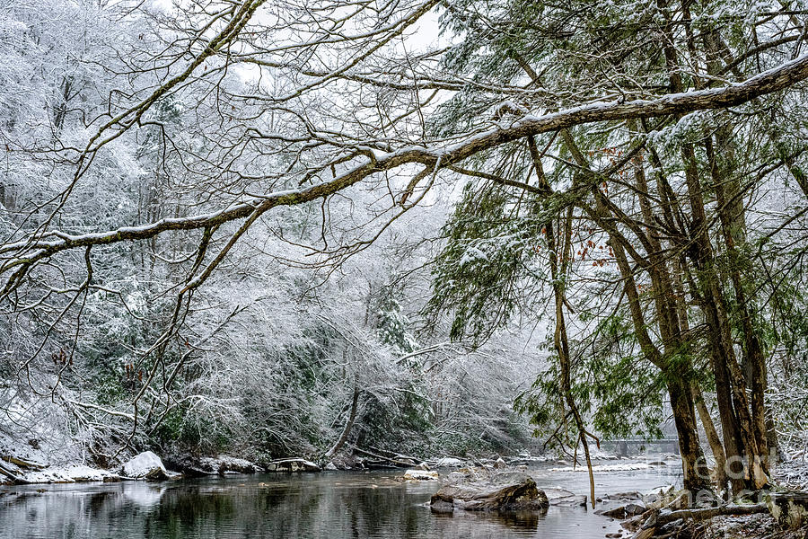 March Snow along Cranberry River #2 Photograph by Thomas R Fletcher
