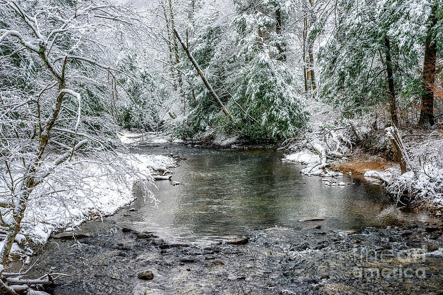 March Snow Cranberry River #2 Photograph by Thomas R Fletcher