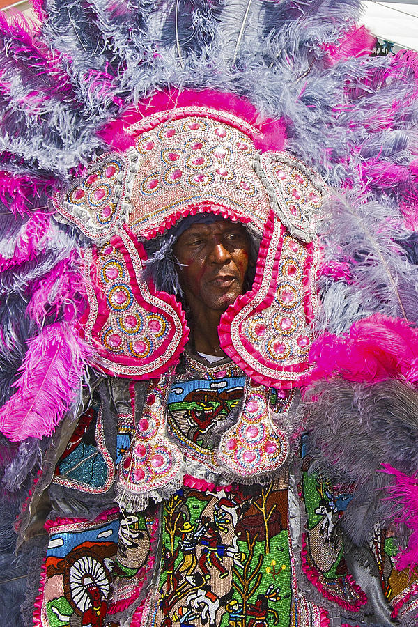 mardi gras indian canvas wall art