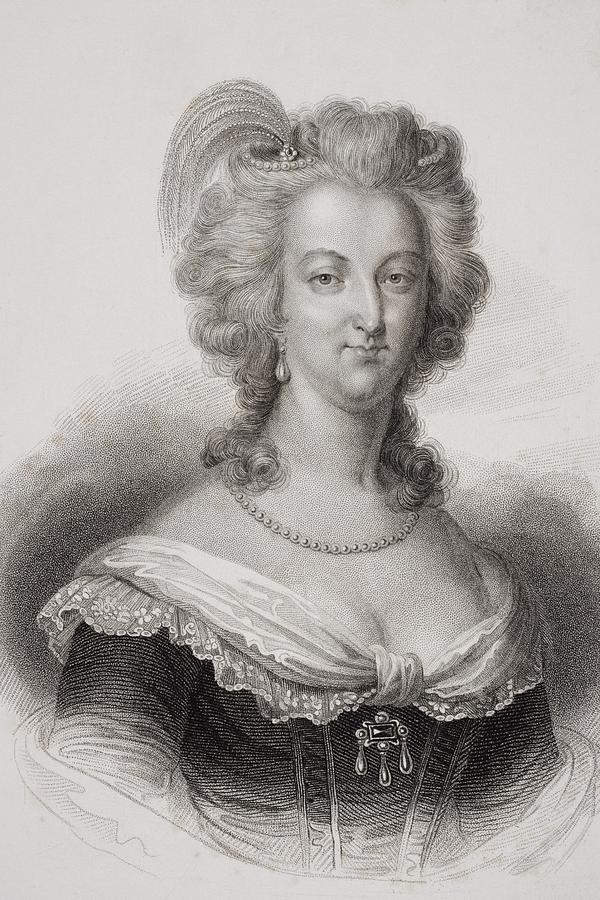 Marie 17551793. Queen Of Drawing by Vintage Design Pics
