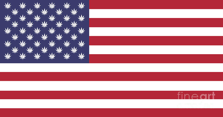 marijuana in USA Flag #2 Digital Art by Benny Marty