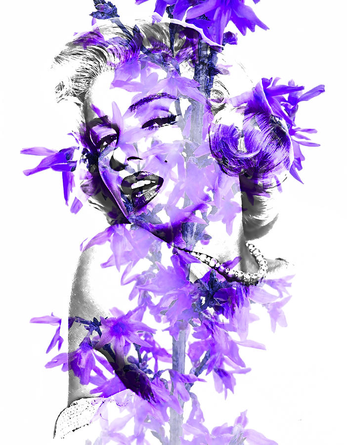 Marilyn Monroe Collection #2 Mixed Media by Marvin Blaine