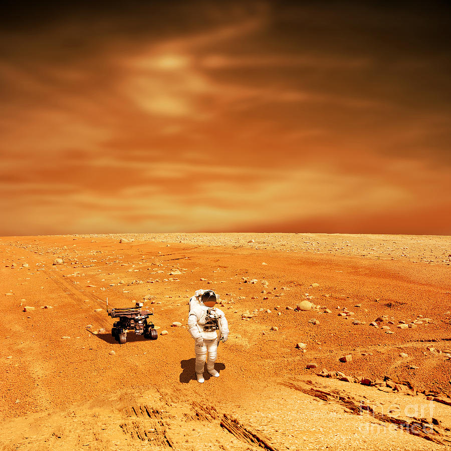 Martian Explorer #2 Photograph by Marc Ward