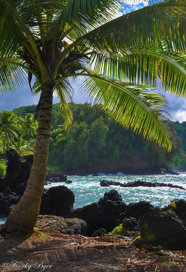 Beach Photograph - Maui #2 by Corky Byer