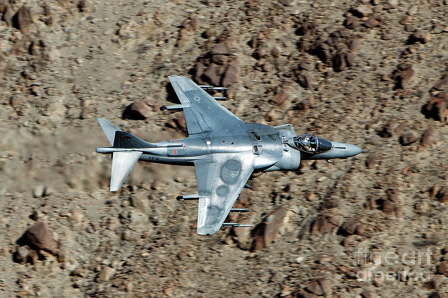 Mcdonnell Douglas Av 8b Harrier Ii Dd 08 Us Navy Vx 31 Dust Devils Photograph By Jason O Watson