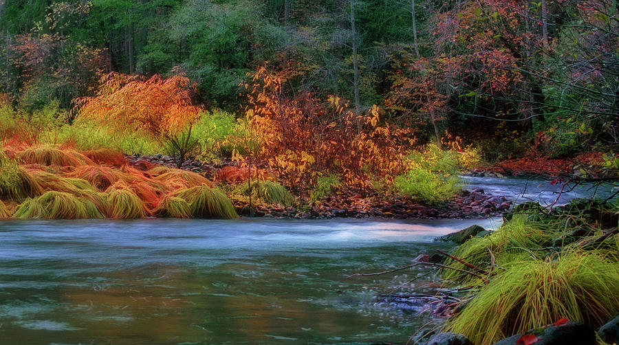 Merced River Autumn #3 Photograph by Floyd Hopper