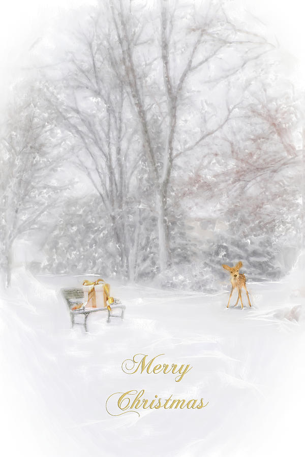 Merry Christmas #2 Photograph by Mary Timman