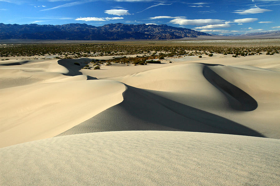 Mesquite Sand dunes in Death Valley National park Photograph by Pierre ...