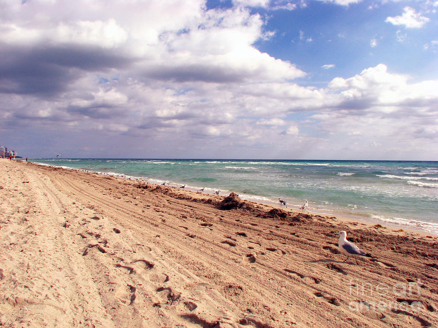Beach Photograph - Miami Beach #2 by Amanda Barcon