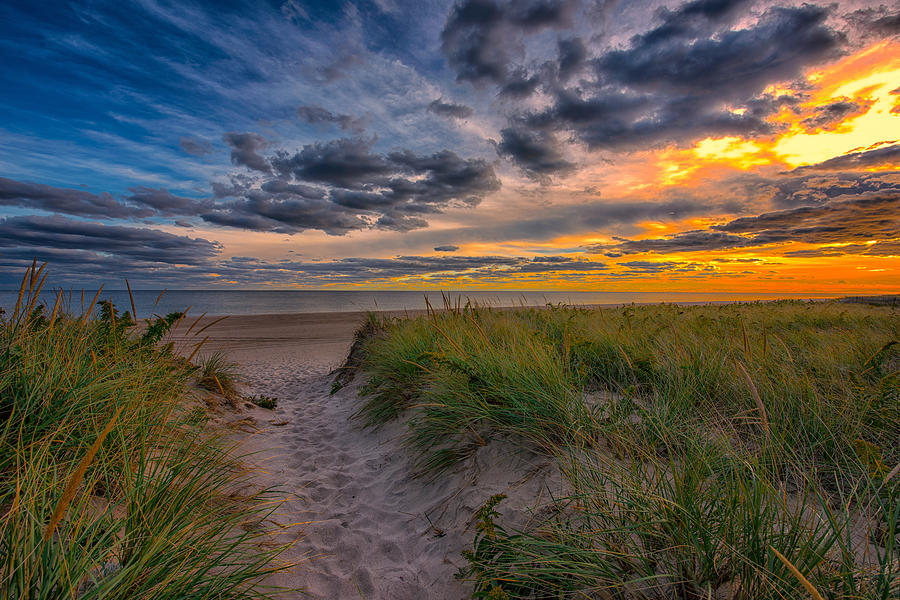 2 Mile Hallow Beach Path East Hampton Photograph by Stan Dzugan - Fine ...