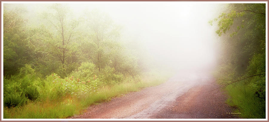 Misty Back Road, Pocono Mountains, Pennsylvania #2 Photograph by A Macarthur Gurmankin