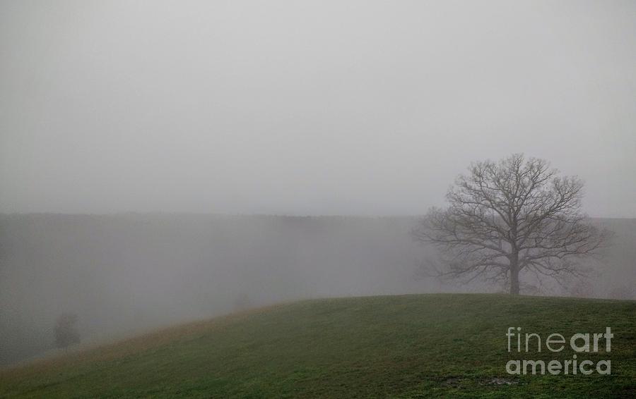 Misty Morning #2 Photograph by Anita Adams