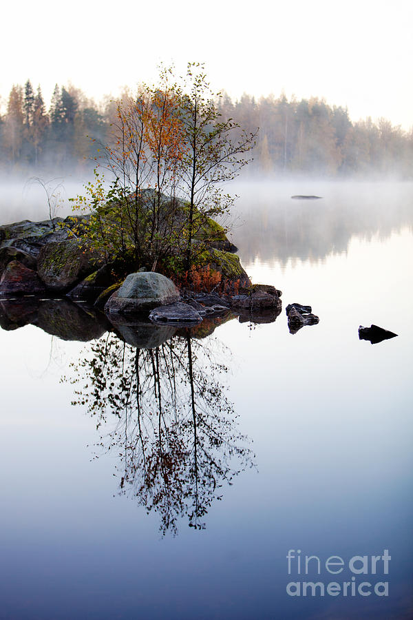 Misty morning #2 Photograph by Kati Finell