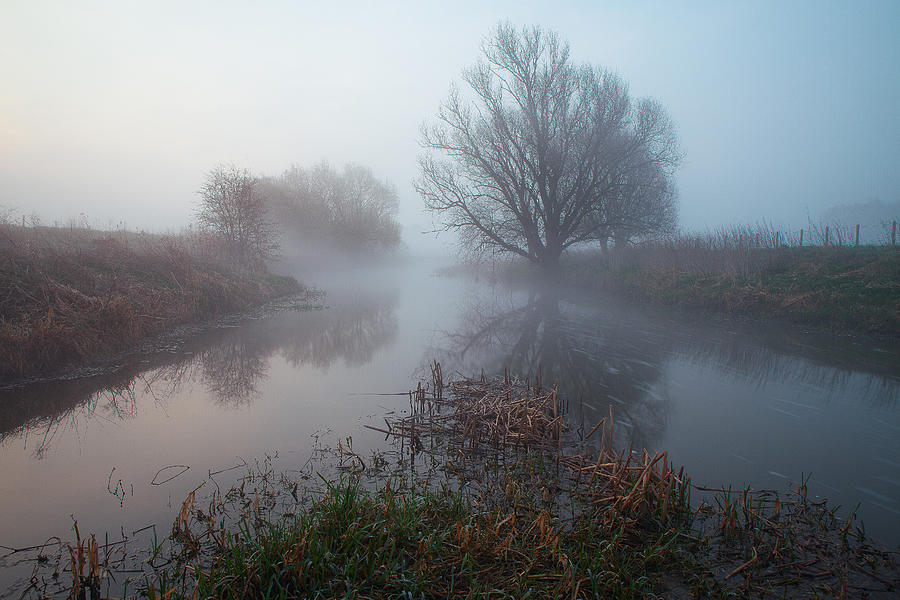 Tree Photograph - Misty River Nene #2 by Nick Atkin