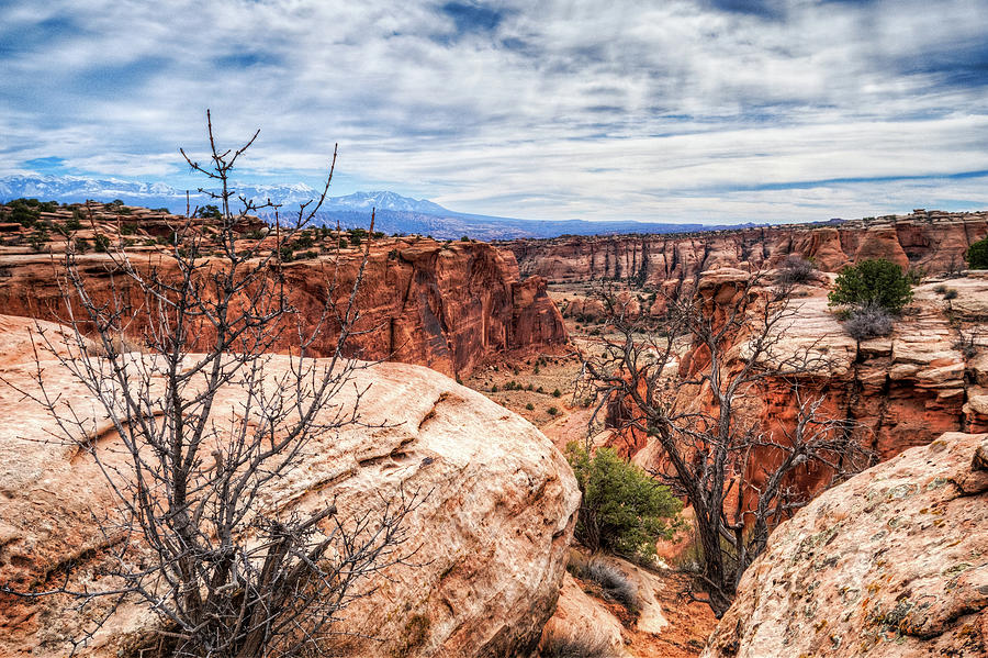 Moab Canyon #2 Photograph by Brett Engle