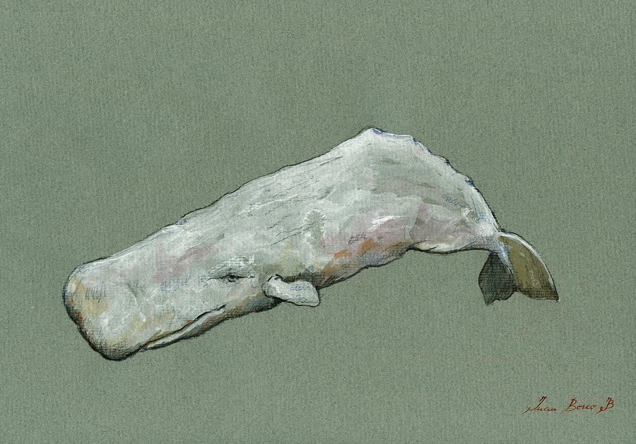 Moby Dick Painting - Moby dick the White sperm whale  #2 by Juan  Bosco