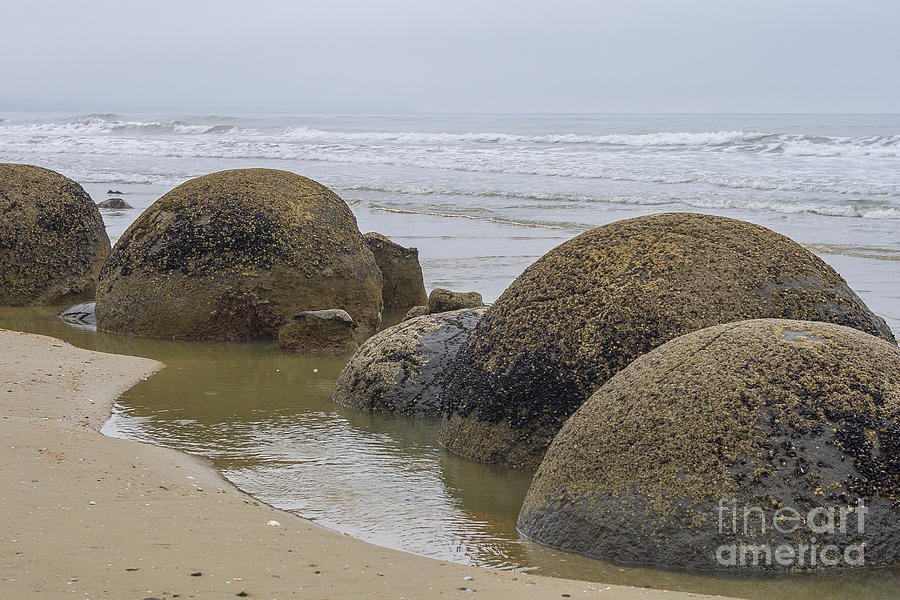 Moeraki boulders in New Zealand Photograph by Patricia Hofmeester