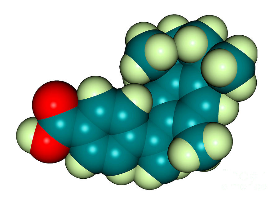 Molecular Model Of Bexarotene #2 Photograph by Scimat