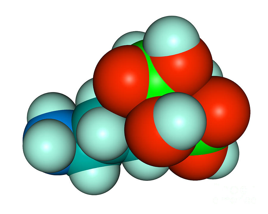 Molecular Model Of Fosamax #2 Photograph by Scimat