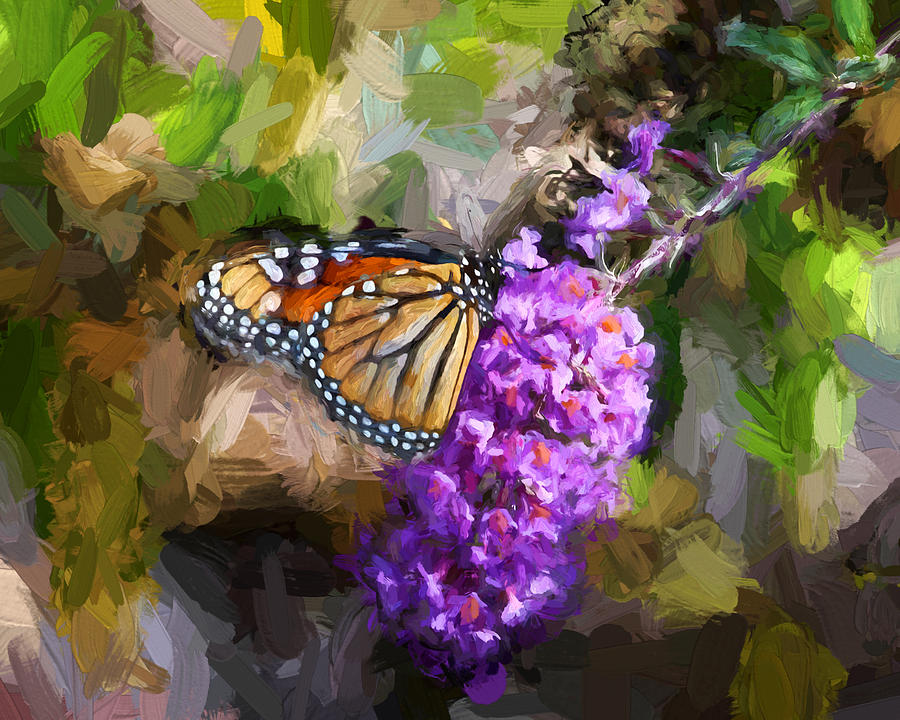 Monarch Butterfly #3 Photograph by John Freidenberg