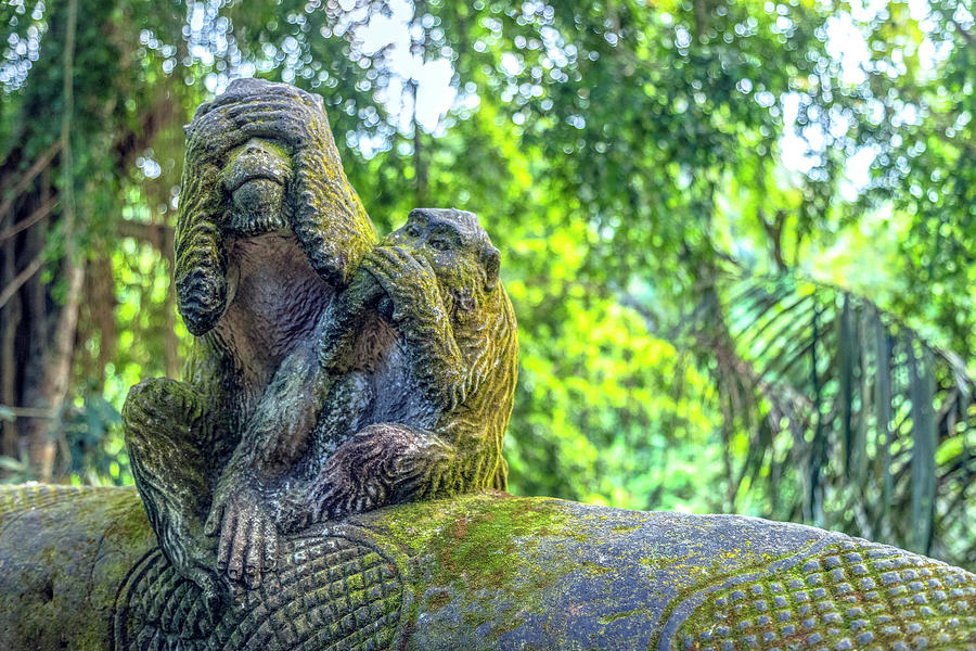 Monkey Forest Ubud - Bali #2 Photograph by Joana Kruse