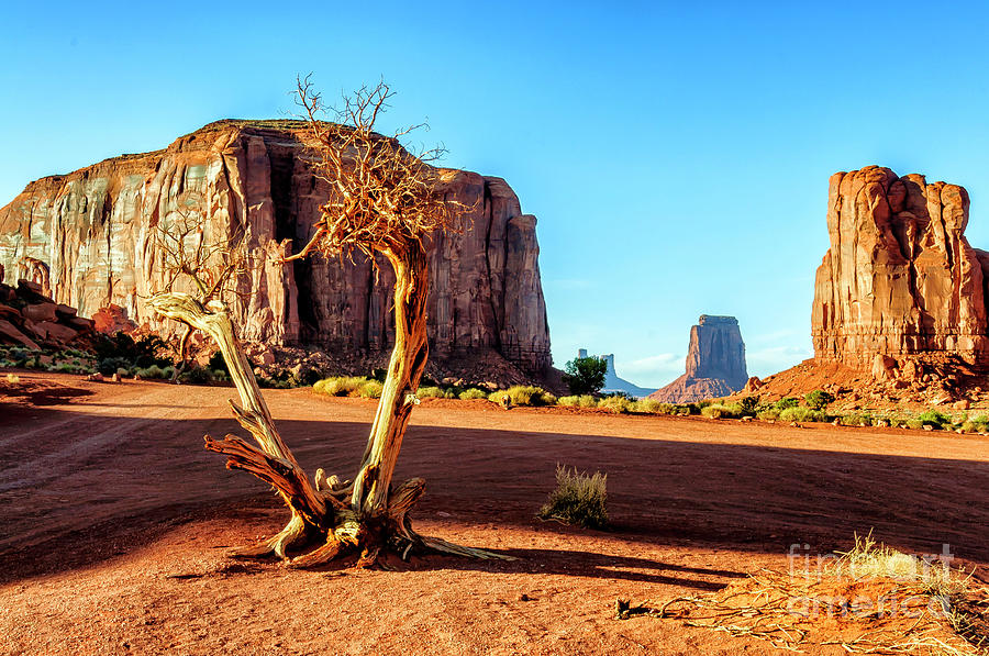 Monument Valley #2 Photograph by Thomas R Fletcher