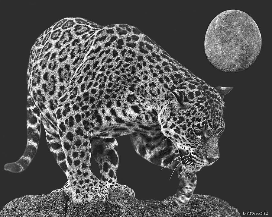 Moonlight Predator #2 Digital Art by Larry Linton