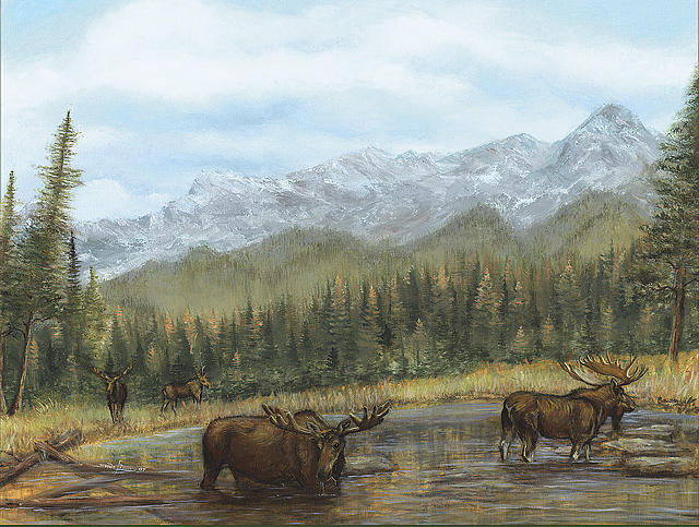 Moose Mountain Print - 2 Moose In The Mountains by Shane Lieske Moose Mountain Print - 2 Moose In The Mountains by Shane Lieske