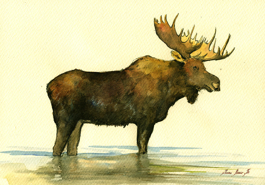 Moose Painting - Moose watercolor painting. #2 by Juan  Bosco