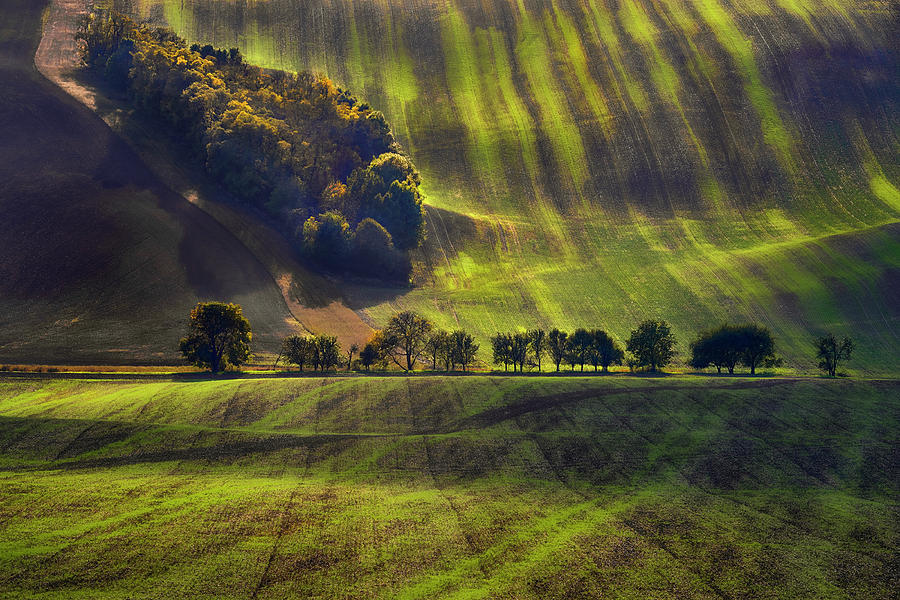 Moravian Fields Photograph By Jan Sieminski - Fine Art America