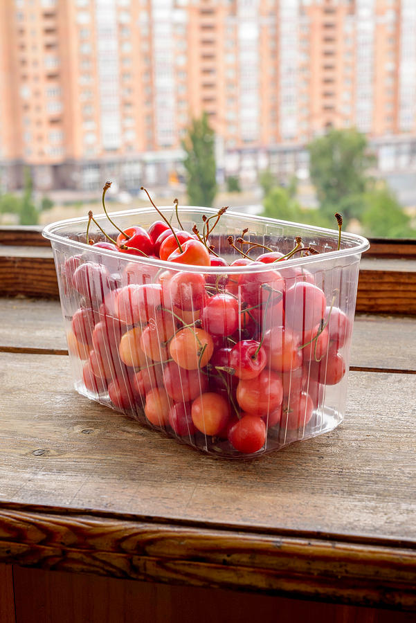 Summer Photograph - Morello Cherries #2 by Alain De Maximy
