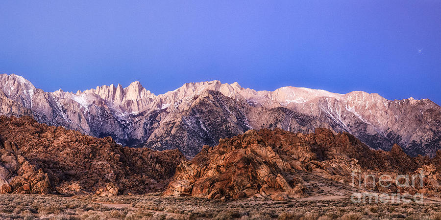 Morning Light Mount Whitney Photograph by Anthony Michael Bonafede