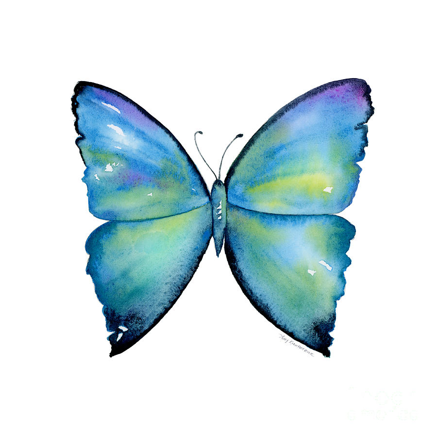 2 Morpho Aega Butterfly Painting by Amy Kirkpatrick