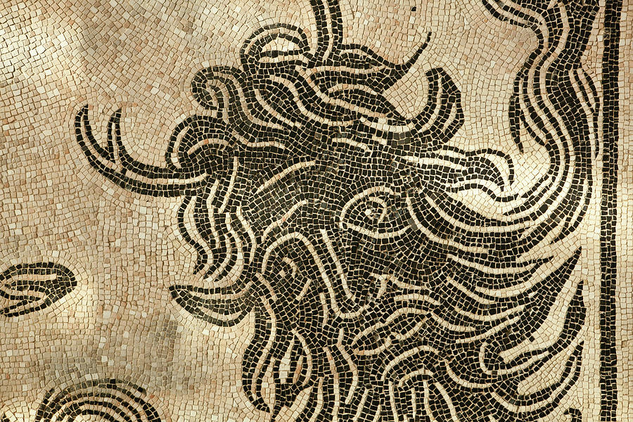 Mosaic Carpet by John Magyar Photography Mosaic Carpet by John Magyar Photography