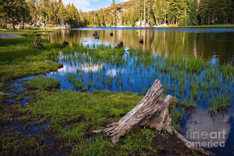 Mountain Photograph - Mosquito Lake #2 by Dianne Phelps