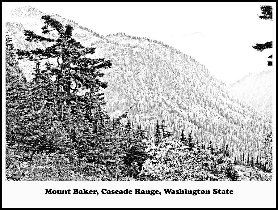 Mount Baker, Cascade Mountain Range, Washington State #2 Digital Art by A Macarthur Gurmankin