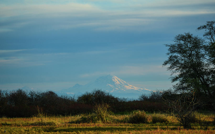 Mount Rainier in the Distance #2 Photograph by Ronda Broatch