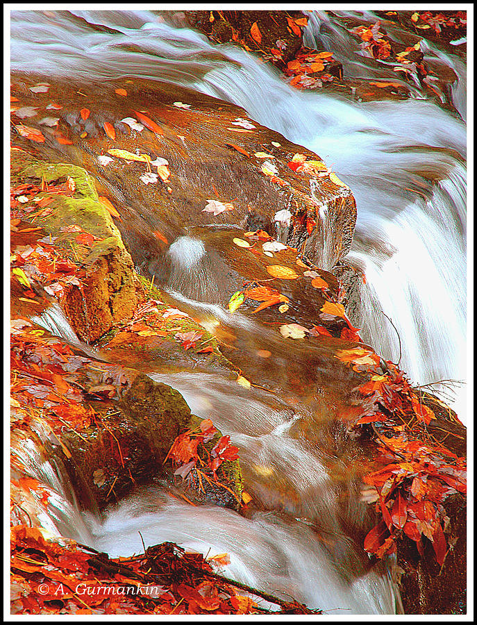 Mountain Stream in Autumn #2 Photograph by A Macarthur Gurmankin