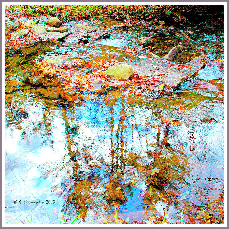 Mountain Stream Relections in Autumn #2 Photograph by A Macarthur Gurmankin