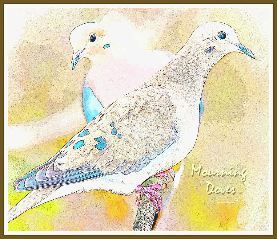 Mourning Dove Pair Poster Image #2 Digital Art by A Macarthur Gurmankin