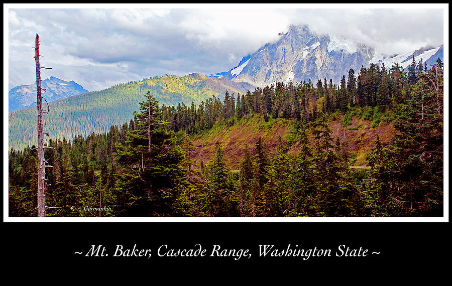 Mt. Baker, Cascade Range, Late Afternoon #2 Photograph by A Macarthur Gurmankin