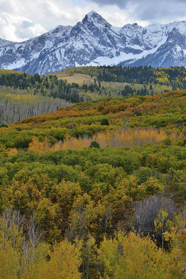 Mt. Sneffels Fall Colors #2 Photograph by Ray Mathis
