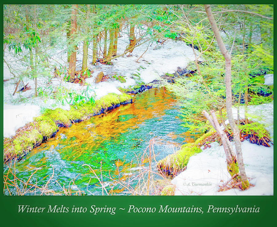 Mud Run Pocono Mountain Stream Pennsylvania Season Change Photograph by