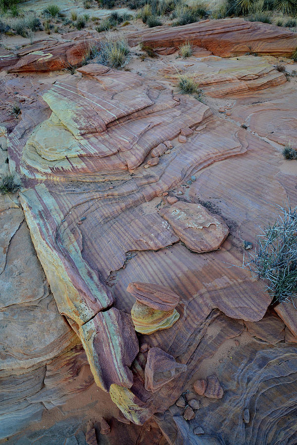Multicolored Sandstone of Valley of Fire #2 Photograph by Ray Mathis