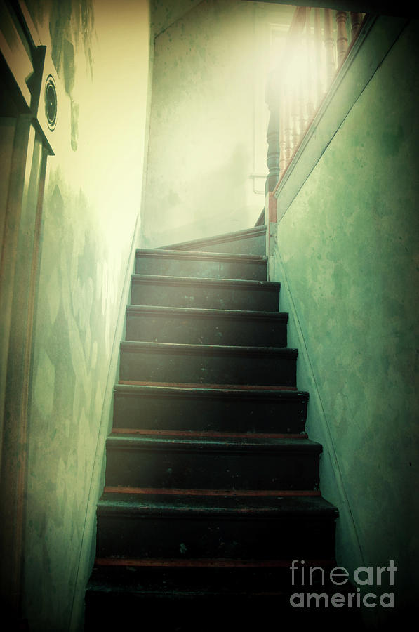 Mysterious Stairway #2 Photograph by Jill Battaglia